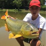 WhatsApp Image 2024-02-28 at 11.15.52 - Copia